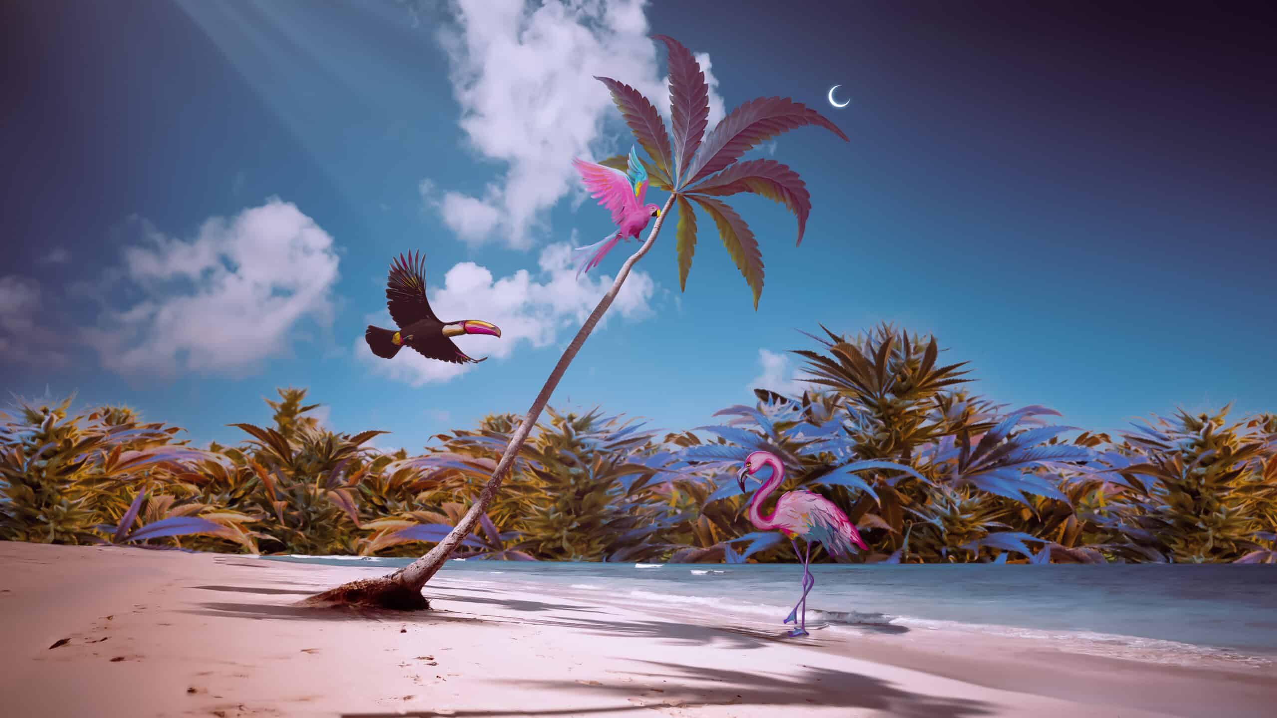 Fresh Grow imagery