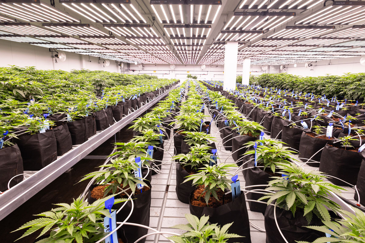High Grass Farms imagery