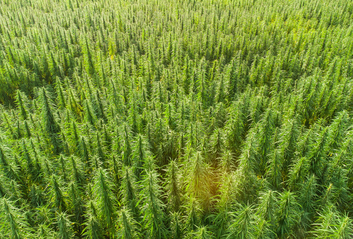 High Grass Farms imagery