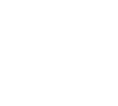 Brute's Roots