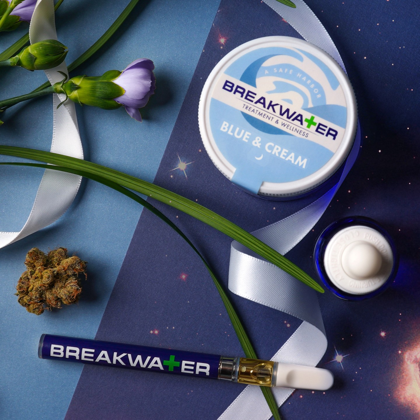 Breakwater Gallery photo 3