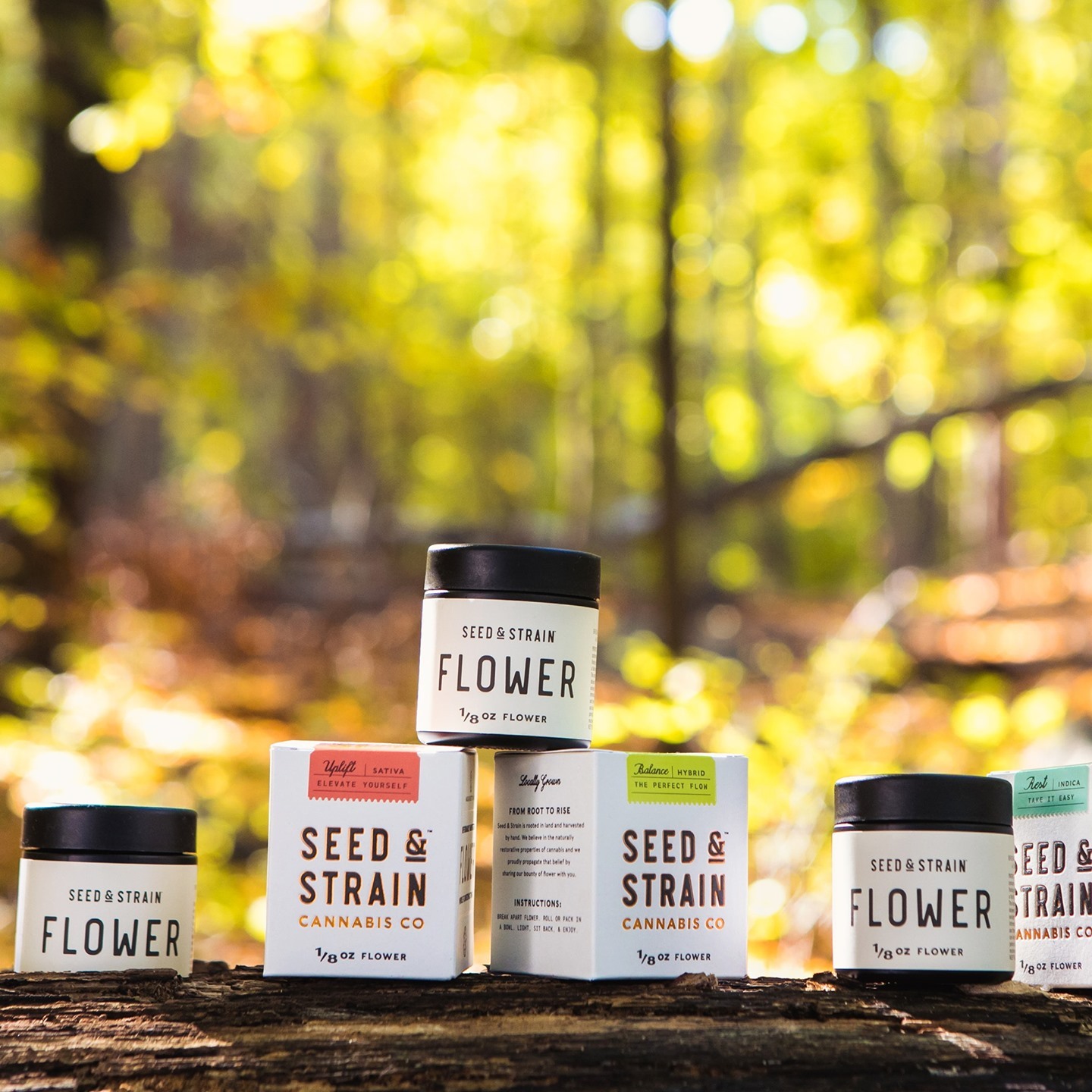 Seed & Strain imagery
