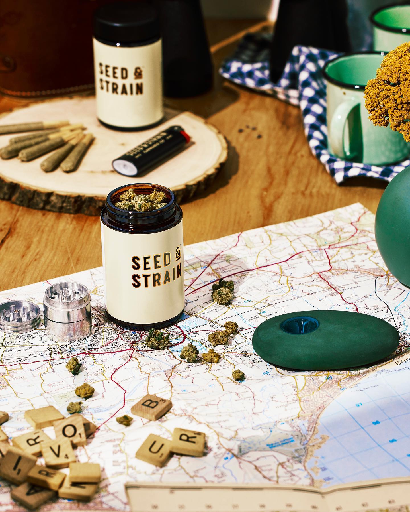 Seed & Strain imagery