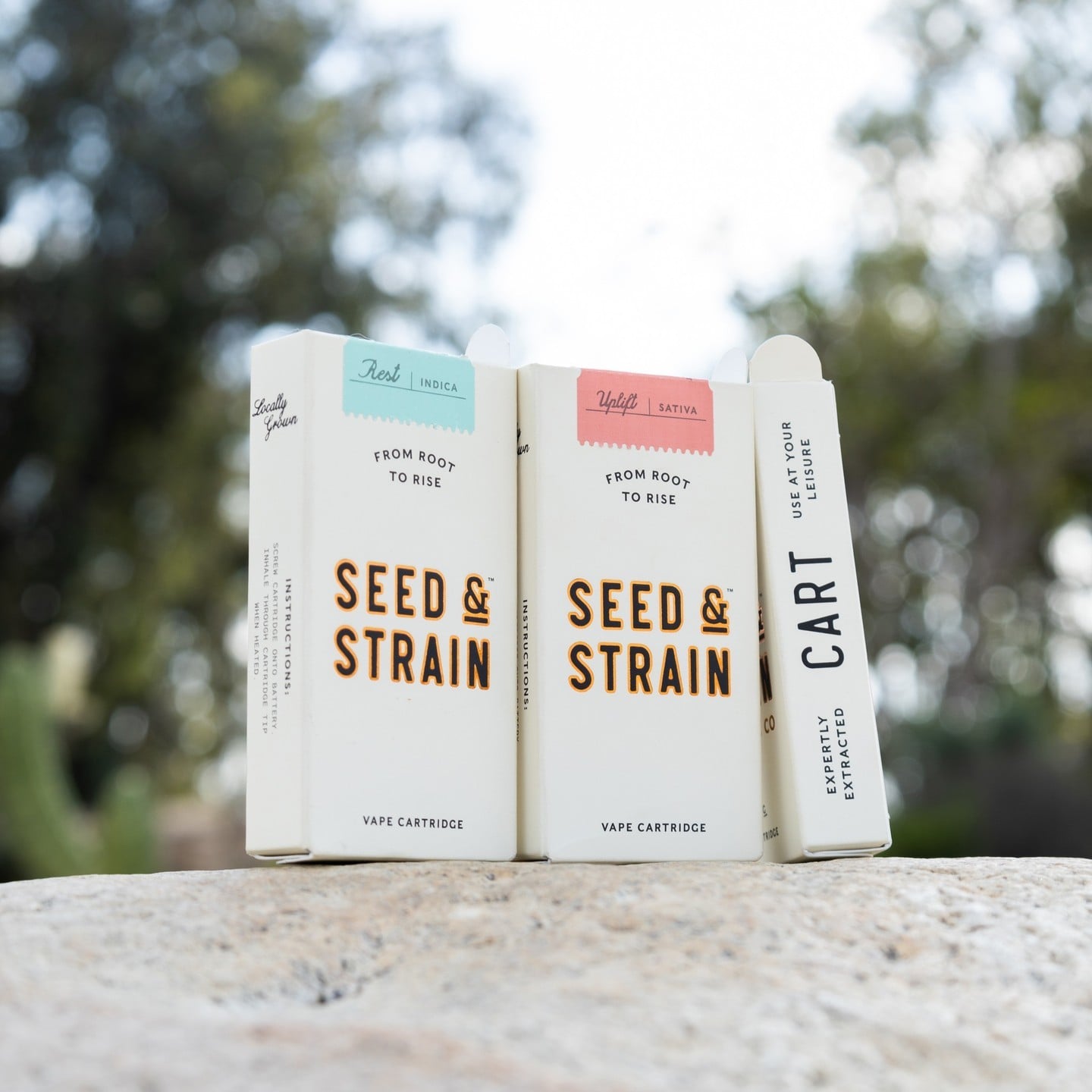 Seed & Strain imagery