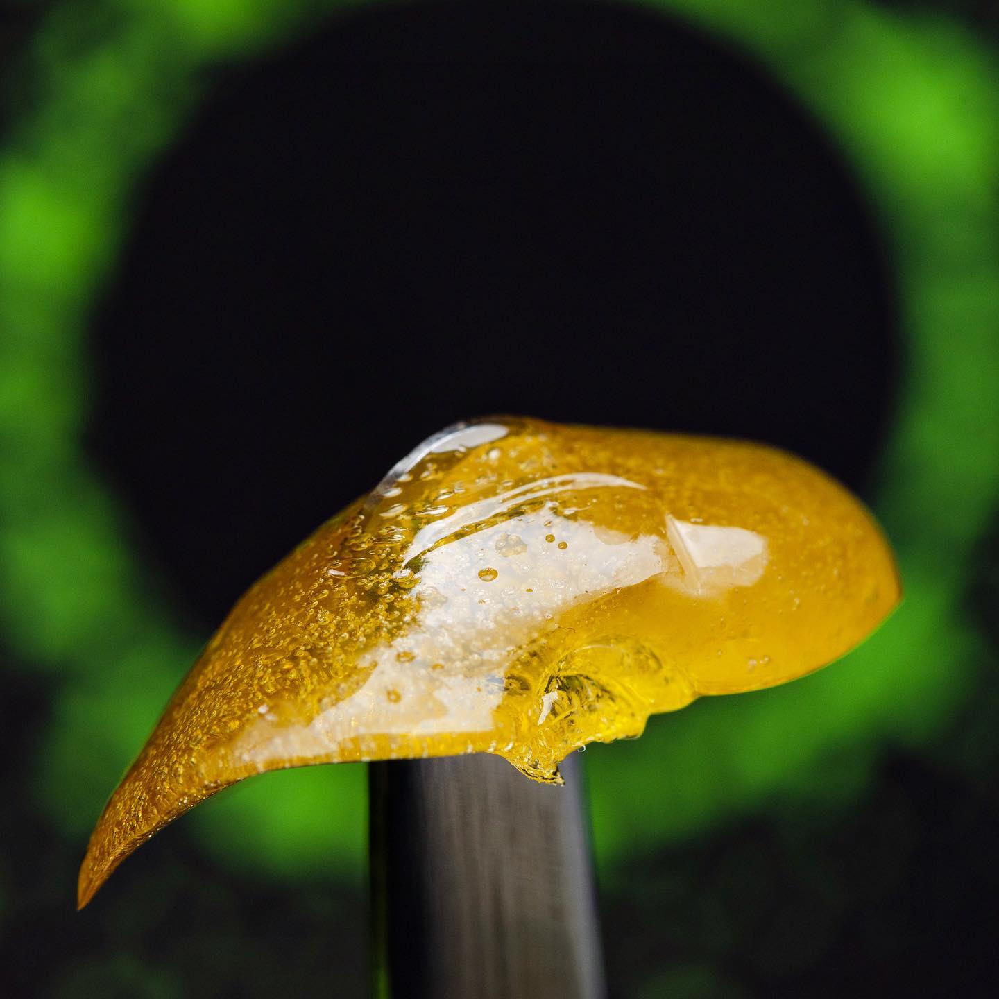 Rosin Tech Labs gallery photo 16
