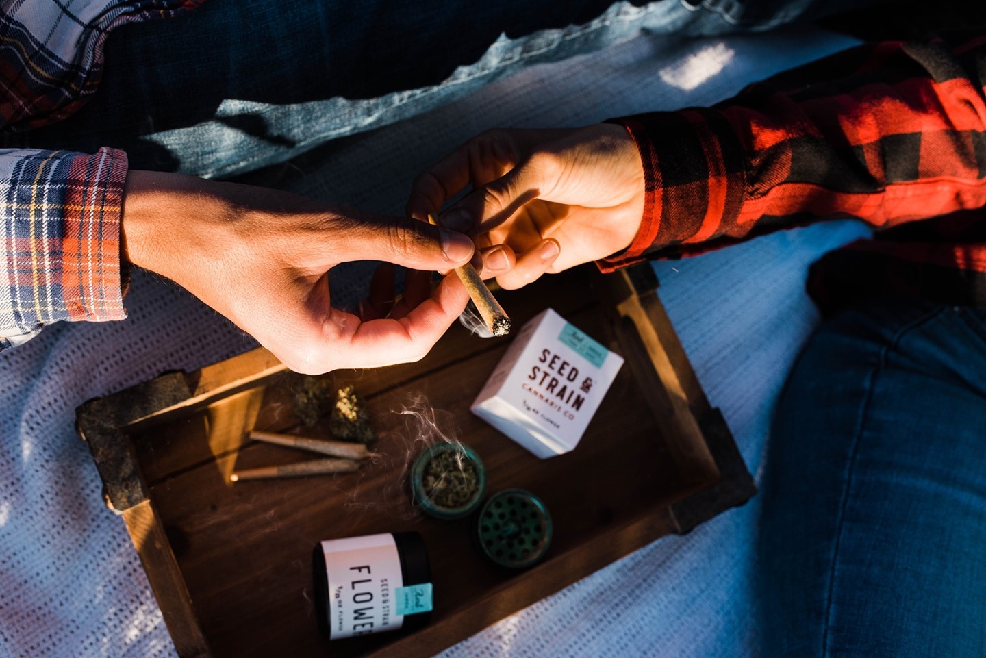 Seed & Strain imagery