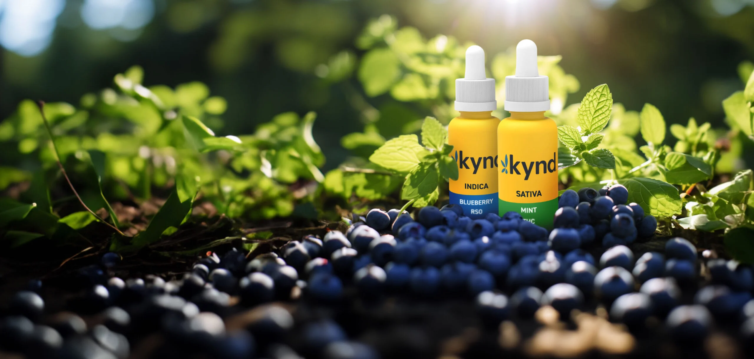Kynd imagery
