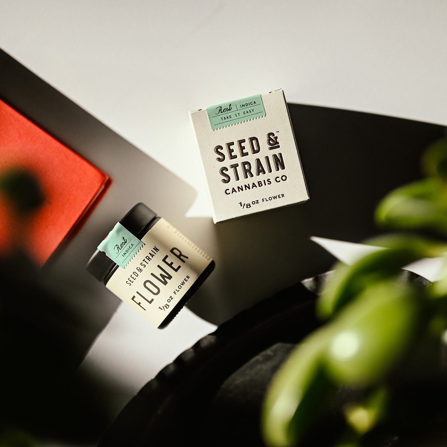 Seed & Strain imagery