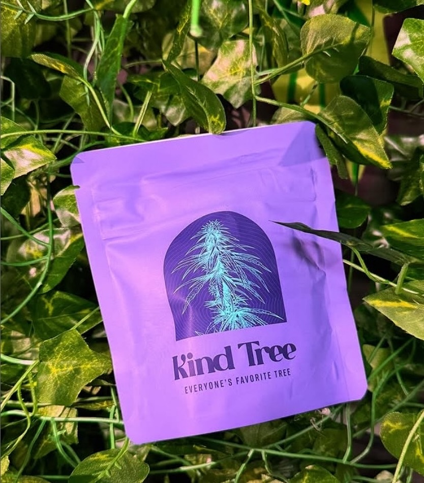 Kind Tree Gallery photo 6
