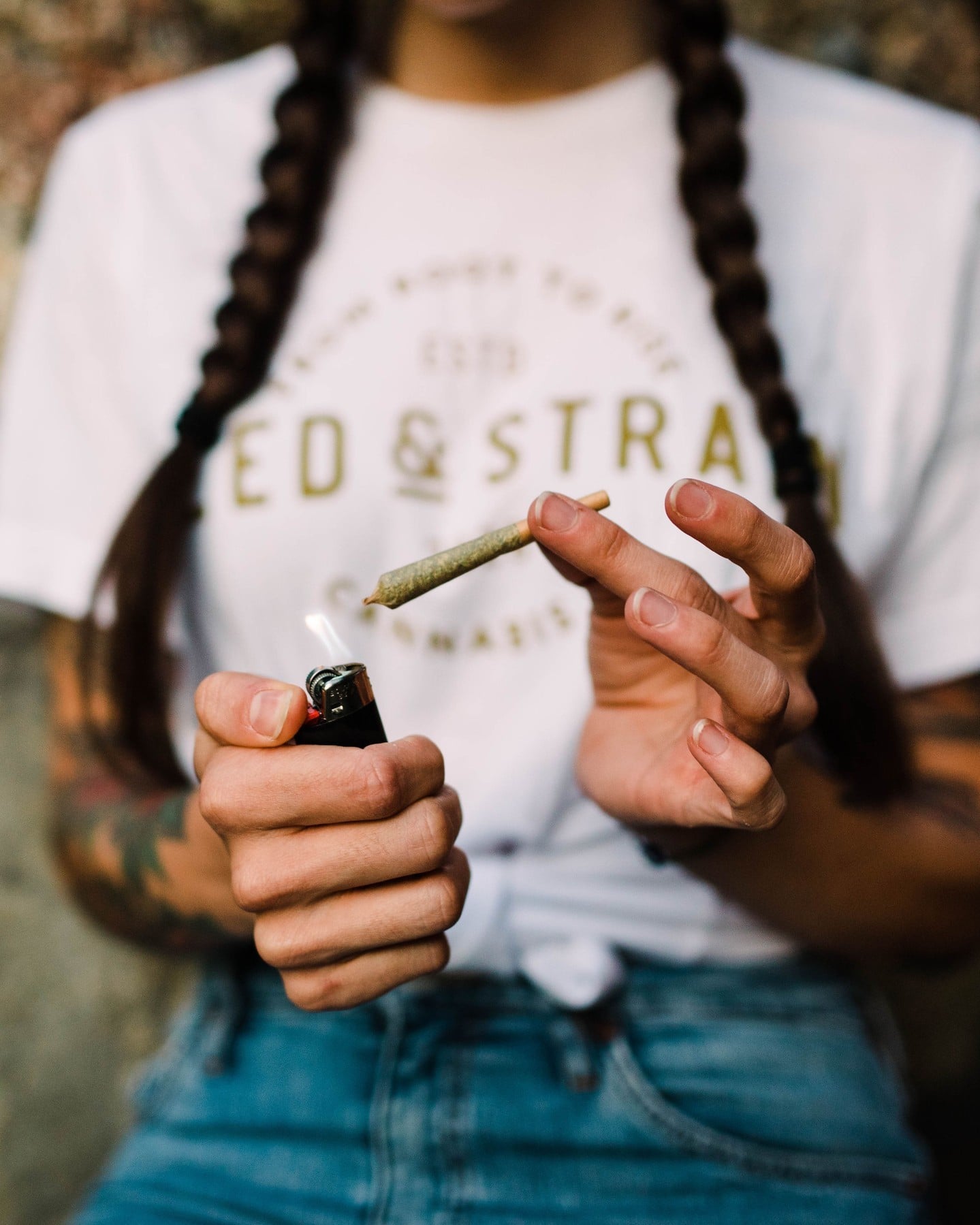 Seed & Strain imagery
