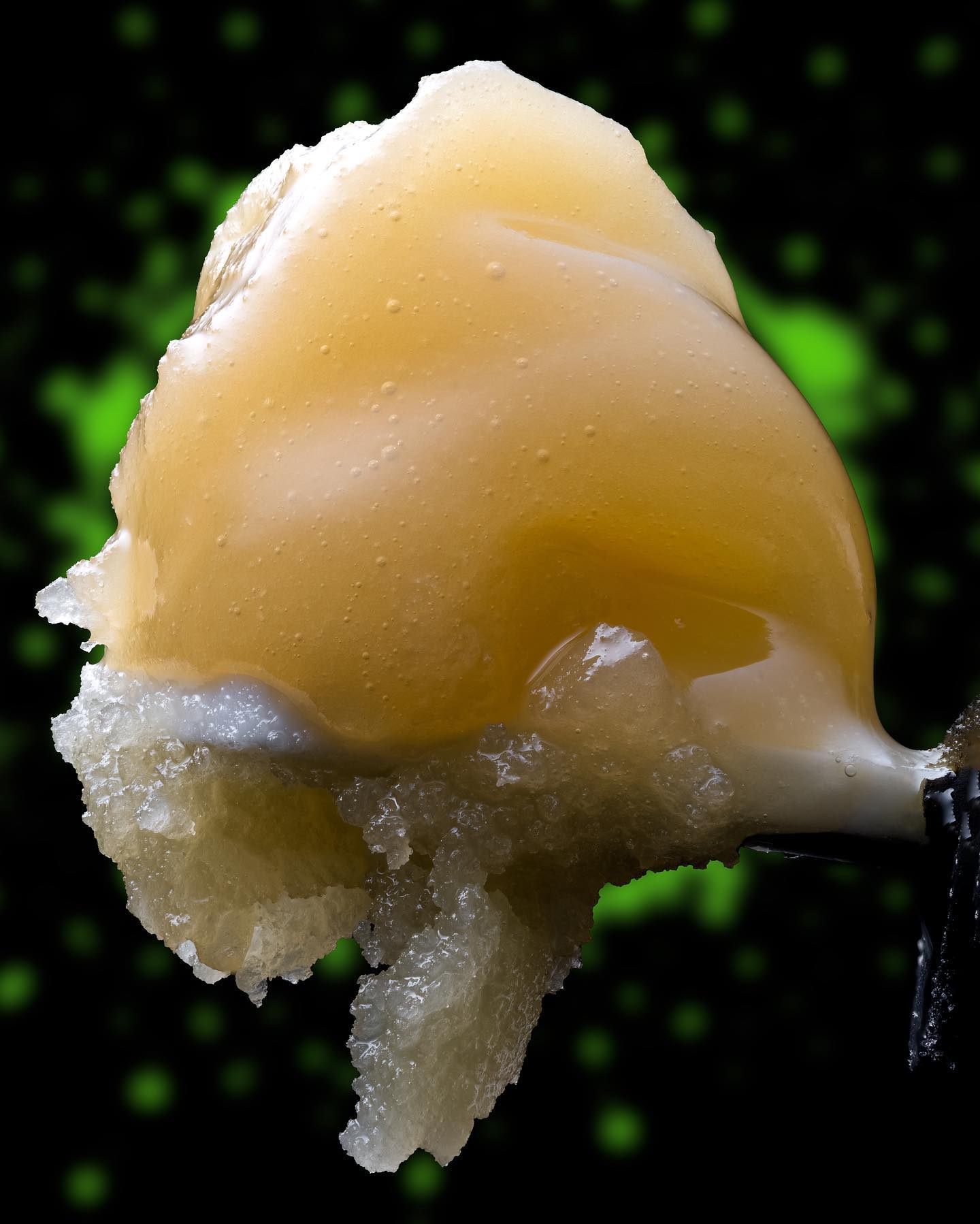 Rosin Tech Labs gallery photo 10