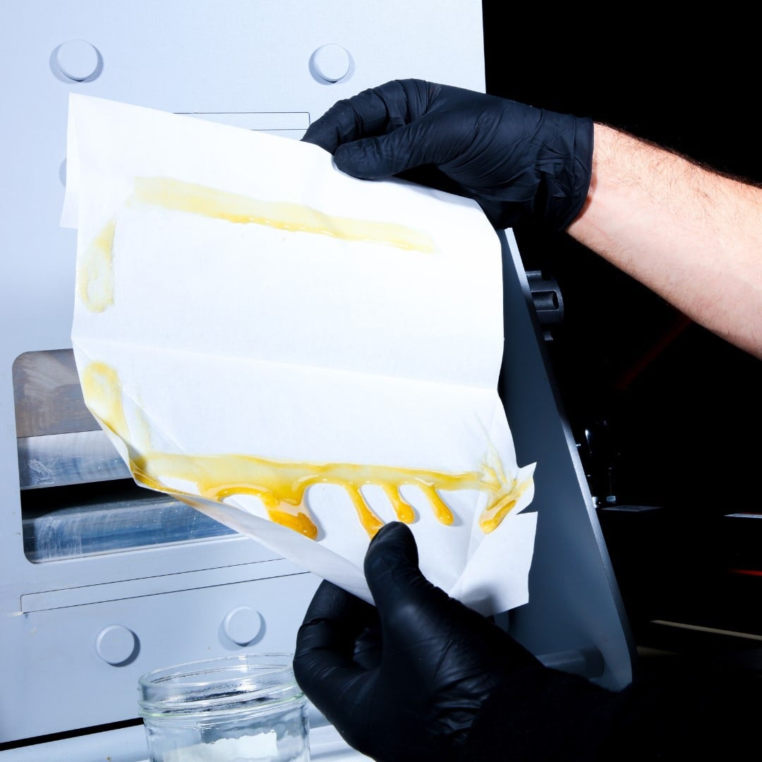 Rosin Tech Labs gallery photo 15